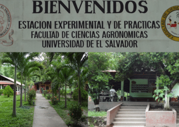 Estudiante de la UES muere en prácticas agrícolas en San Luis Talpa, La Paz