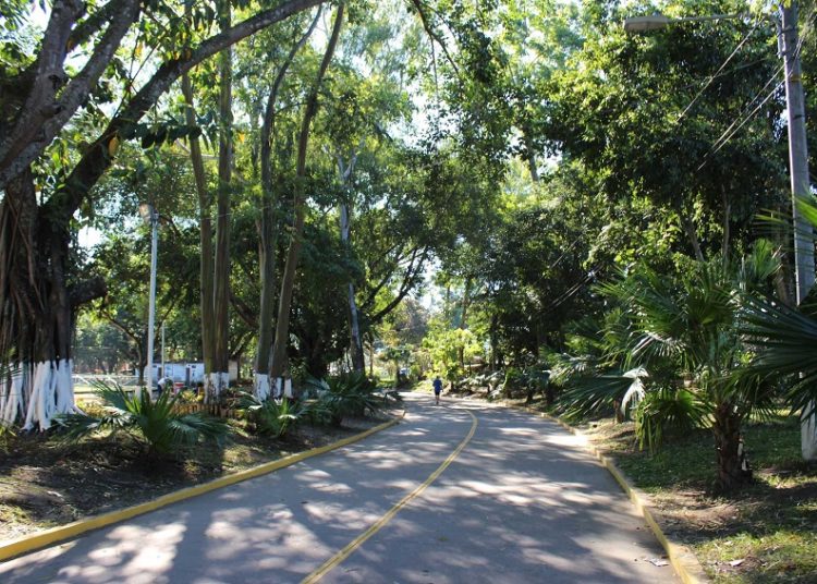 Estos son los días que estará cerrado El Cafetalón por trabajos de remodelación
