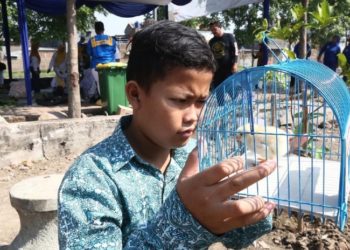Autoridades repartirán pollitos en Indonesia entre niños para combatir la adicción a los celulares