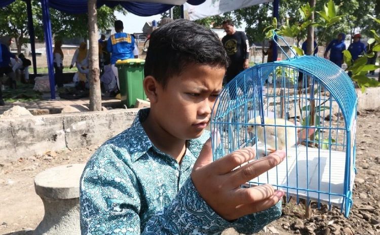 Autoridades repartirán pollitos en Indonesia entre niños para combatir la adicción a los celulares