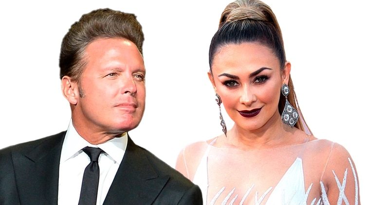 Luis Miguel y Aracely Arámbula habrían llegado a un acuerdo para la manutención de sus hijos