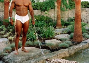 Mike Tyson vendió tigre de Bengala que tenía de mascota luego que arrancara el brazo a alguien