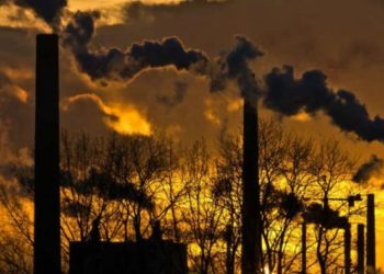 Miles de científicos declaran estado de alerta por el cambio climático