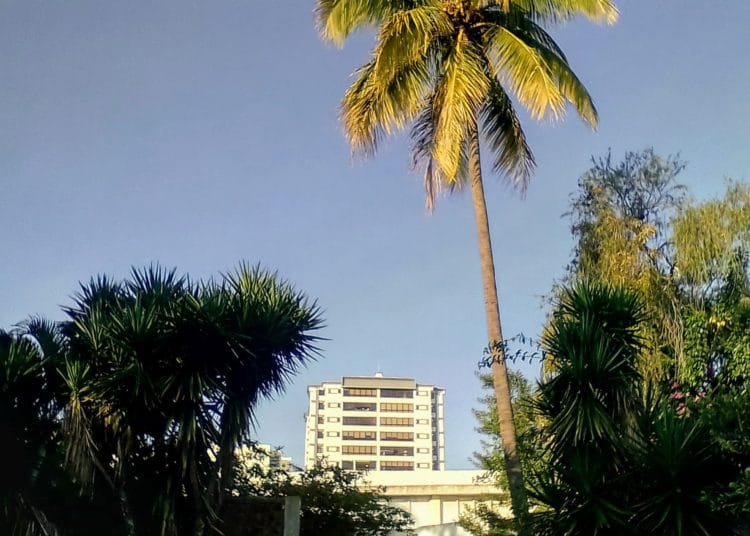 Continúa el viento del noreste, clima cálido en horas diurnas y fresco por la noche de este martes