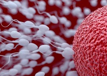 Científicos anuncian lanzamiento de la primera vacuna anticonceptiva para hombres en 2020