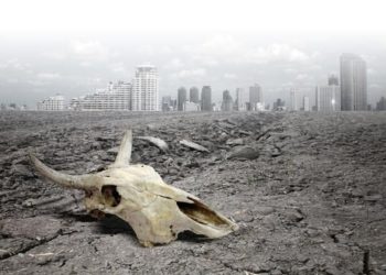 Extinción de la raza humana y el fin del mundo ya tienen fecha y sería en menos de 50 años