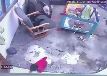 (VIDEO) En Colombia un gato se viste de ‘héroe’ y salva a bebé de caer por las escaleras