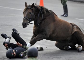 (VIDEO) Jinete sufre una aparatosa caída en el desfile del aniversario de la Revolución Mexicana