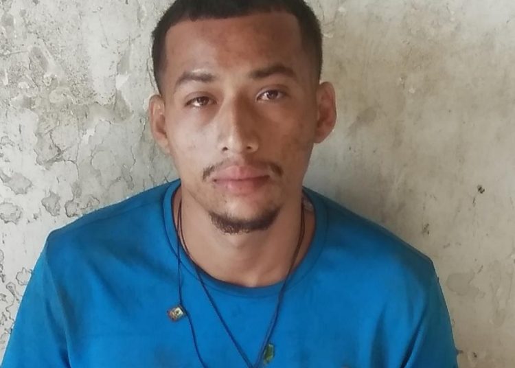 Detienen a pandillero que tenía plantación de marihuana en San Miguel