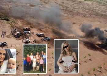 El Cártel del Pacífico es señalado como autor de la masacre a familia LeBarón