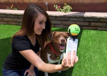 (IMAGEN) Intenta tomarse una selfi con su perro y obtiene un gracioso ‘retrato’