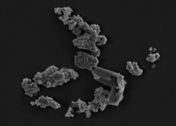 Descubren un microorganismo que se alimenta de meteoritos y luego ‘baila’ en su superficie