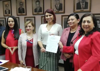 Solicitan que Presupuesto 2020 garantice ejecución de programas a favor de las mujeres