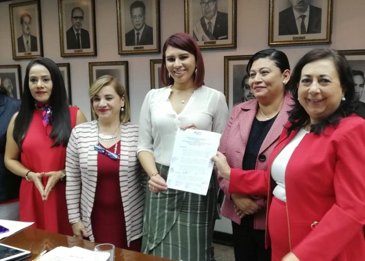 Solicitan que Presupuesto 2020 garantice ejecución de programas a favor de las mujeres