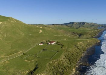 Multimillonario busca amigos para vivir con él en su «paraíso» en Nueva Zelanda