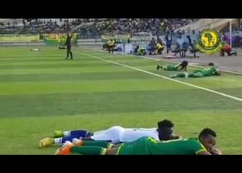 (VIDEO) Un enjambre de abejas invade un estadio de fútbol y ataca a los jugadores