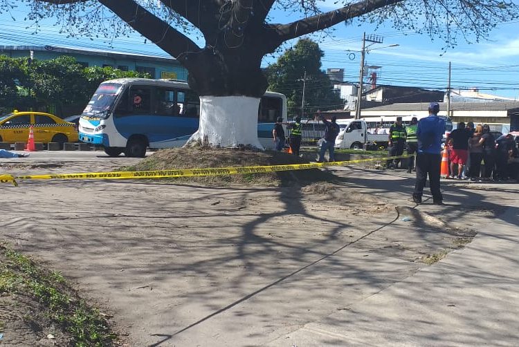 Una adolescente muere atropellada por microbús de la 29F