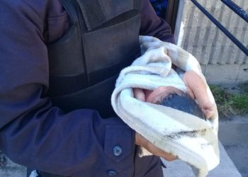 En la celebración del nacimiento del niño Jesús, abandonan a recién nacida en la carretera de Oro