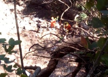 Adolescente muere al saltar a un precipicio para escapar de un grupo de soldados