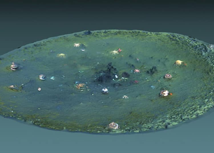 Descubren miles de misteriosos agujeros frente a las costas de California