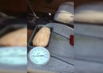 (VIDEO) Cocina un trozo de carne en el interior de su auto solo con el calor ambiental y lanza advertencia