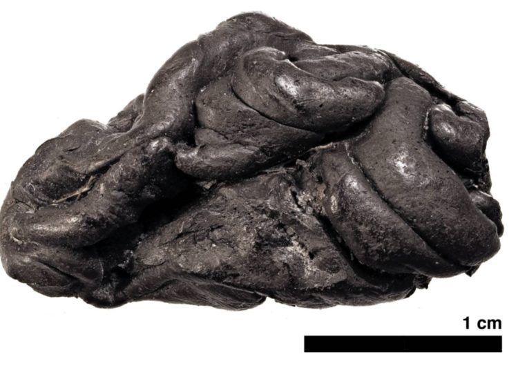 Un ‘chicle’ de hace 6.000 años conserva el ADN de la chica que lo mascaba
