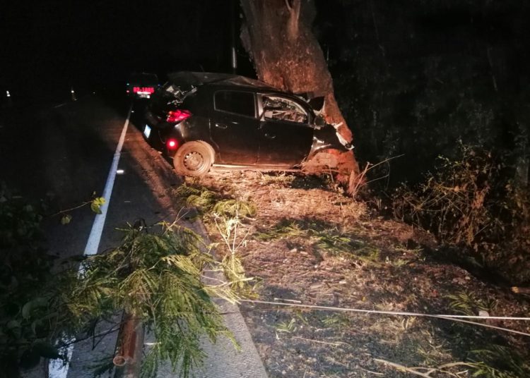 Hombre fallece tras estrellar su auto contra un árbol en Santa Ana