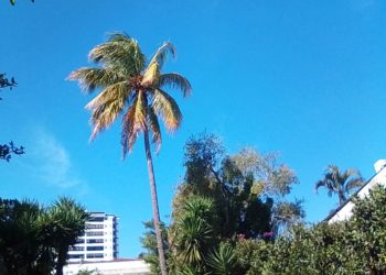 Cielo despejado y clima templado en zonas altas del país para este viernes