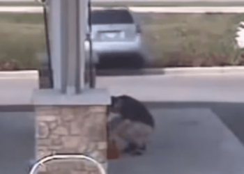 (VIDEO) Conductor distraído pierde su vehículo que cae por una pendiente en una gasolinera