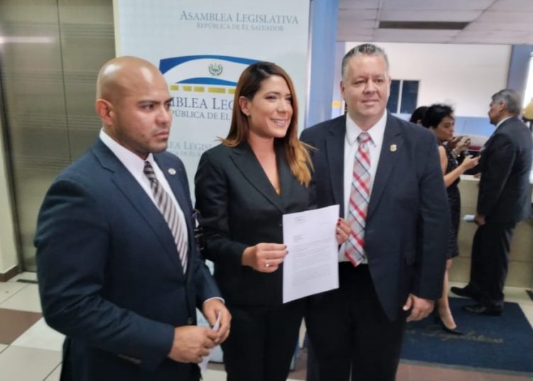 Diputados proponen que Policía Rural funcione como subdirección de la PNC