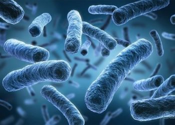 La verdad sobre la enfermedad venérea que ‘come’ genitales