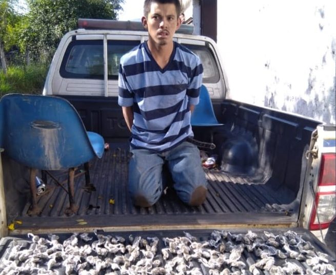 PNC sorprende a sujeto que llevaba 272 porciones de marihuana en La Libertad