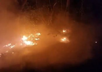 Bomberos sofocan incendio en Ciudad Arce