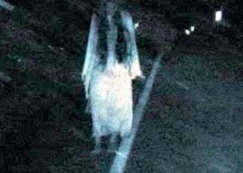(VIDEO) Terror por supuesta aparición de ‘La Llorona’ en Colombia
