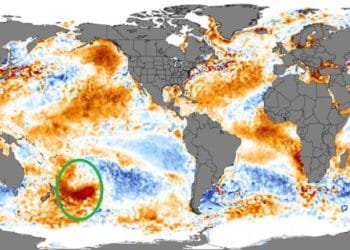 Una “mancha caliente” cinco veces más grande que El Salvador se desplaza por el océano Pacífico