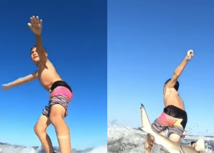 (VIDEO) Niño surfista es derribado por un tiburón