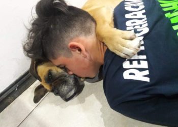 Dueño abraza a su perra tras agónica muerte ocasionada por la pirotecnia