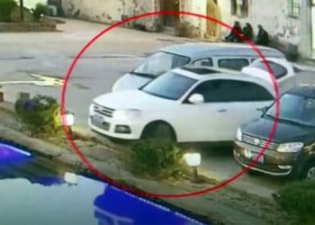 (VIDEO) Un perro ‘conduce’ accidentalmente el automóvil de su dueño y lo sumerge en un estanque