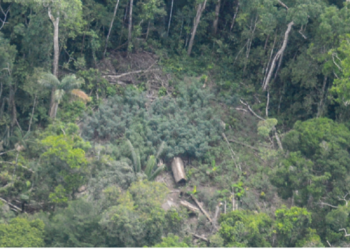 Imágenes inéditas de una comunidad de indígenas no contactados en la Amazonía peruana