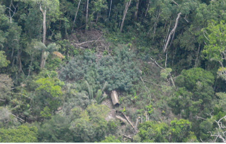 Imágenes inéditas de una comunidad de indígenas no contactados en la Amazonía peruana