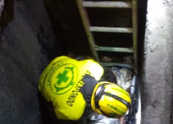 Rescatan a «Diablo» que estaba atrapado en tragante