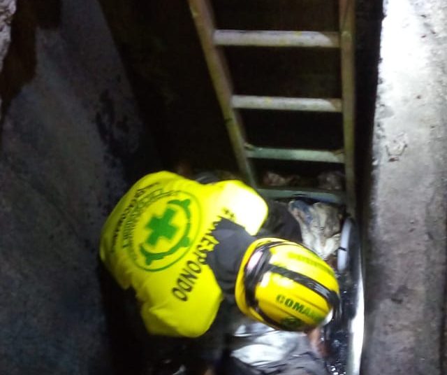 Rescatan a «Diablo» que estaba atrapado en tragante