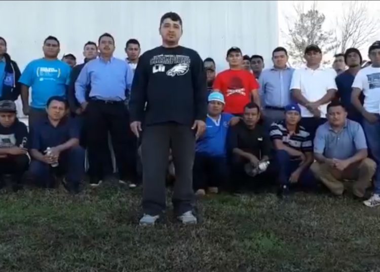 Beneficiados con visa de trabajo agradecen a presidente Bukele por oportunidad laboral en EE.UU.