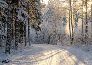 Ante temperaturas bajo cero, niña sale de casa a pedir ayuda con bebé en brazos