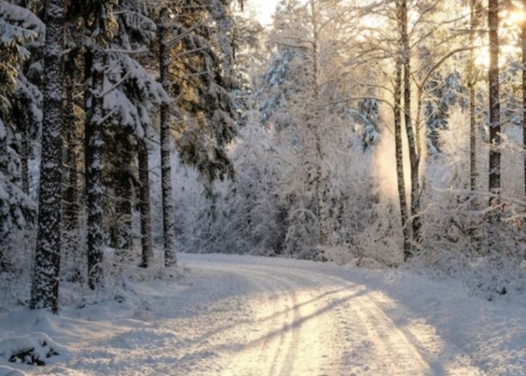 Ante temperaturas bajo cero, niña sale de casa a pedir ayuda con bebé en brazos