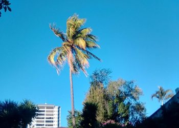 Vientos norte de moderados a fuertes continuarán este jueves