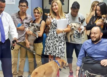 Diputados buscan que animales tengan derechos