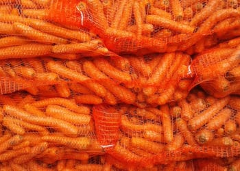 VIDEO: Arrojan desde helicópteros miles de kilos de vegetales para animales en medio de la ola de incendios en Australia