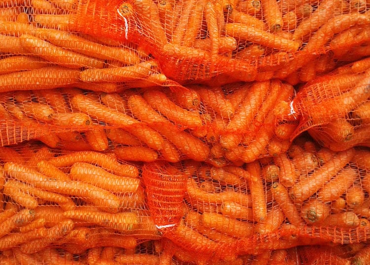 VIDEO: Arrojan desde helicópteros miles de kilos de vegetales para animales en medio de la ola de incendios en Australia