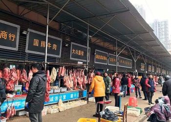 Las fotos del mercado chino donde nació el brote de coronavirus